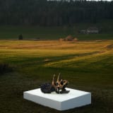 Image thumbnail: Adrián Villar Rojas - 'The Language of the Enemy'