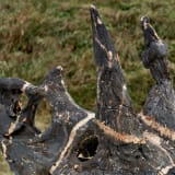 Image thumbnail: Adrián Villar Rojas - 'The Language of the Enemy'