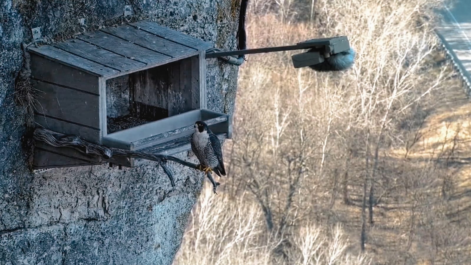 Adrián Villar Rojas - The End of Imagination Bogotá Biennial 2025