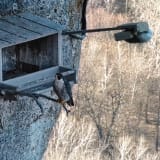 Image thumbnail: Adrián Villar Rojas - The End of Imagination